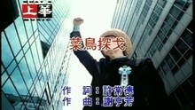 菜鸟探戈