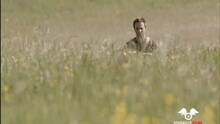 David Hallyday - Tendre Est La Nuit