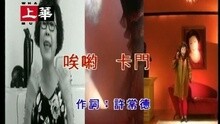 温应鸿@PURE MUSIC - 唉哟 卡门
