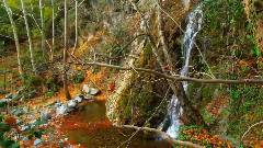 Colorful Autumn