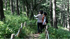 野花