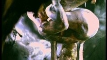 Rusted Root - Ecstasy