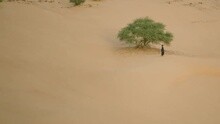 Amine Bouhafa - Timbuktu Fasso
