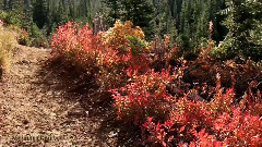 Blue Lake - North Cascade