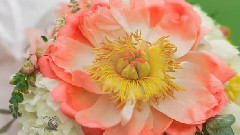 Spring Wreath