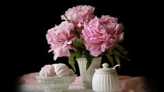 阿兰胡兹协奏曲Concierto De Aranjuez