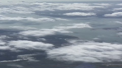From The Earth