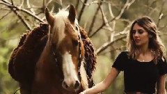 Horse Heart