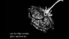  - Addiction 试听版