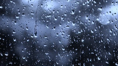 Rainy Days