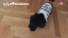 OnStyle DailyTaeng9cam EP10 Preview Cut