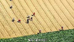 看见台湾2013