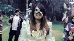 IP the Wonderland