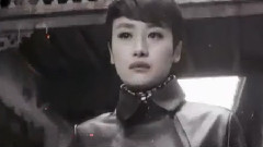 战鹰心鸽