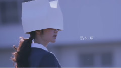映画 リップヴァンウィンクルの花嫁 特報