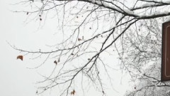 断桥残雪