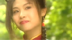 甜酸苦辣