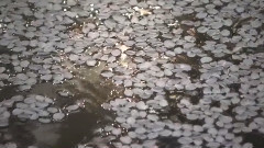 我只在乎你