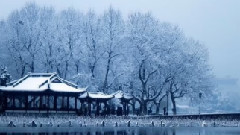 断桥残雪