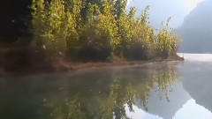 曦景蝶舞