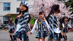 AKB48 - 10年桜(10年樱)