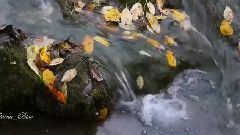 与你同行