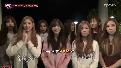 深夜的TV演艺 Lovelyz Cut