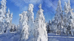 Зимушка