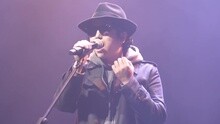 只是爱情 Live版