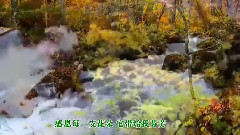 感恩歌