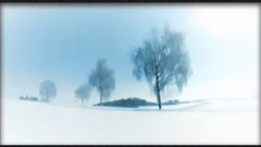 雪地上的回忆