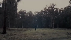 Spirits