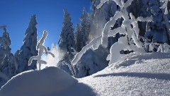 夏之雪