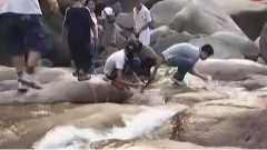 乞讨爱情