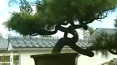 丰收锣鼓