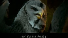 电影<猫头鹰王国:守卫者传奇> 精彩中文片段之2