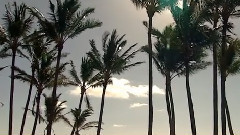 唯一萨克斯