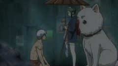<银魂>完结MAD