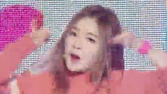 Dumb Dumb