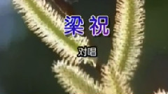 梁祝 对唱