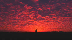 Don't Look Back
