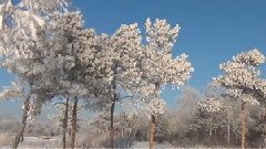 Siberian Winter Movie