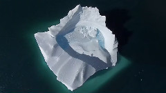 极地骄子
