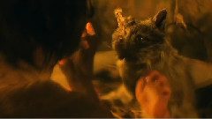 The Cat With Hands
