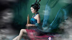 披着羊皮的狼