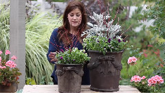 Garden Answer
