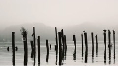 Sound Of Silence
