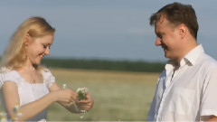 Ромашки