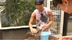BigBang - 