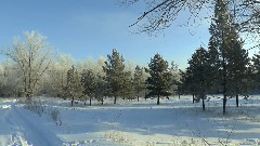 В одежды зимние одеты